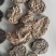 精品肉苁蓉货源充足质量保证量大从优欢迎咨询