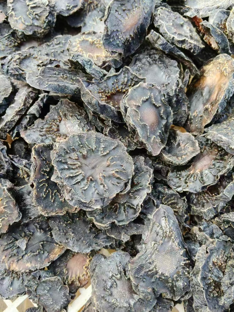 精品肉苁蓉货源充足质量保证量大从优欢迎咨询
