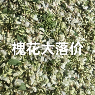 槐花