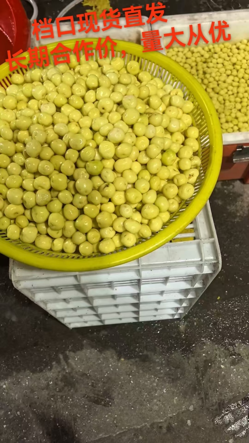 台州珍珠小土豆（坞根高山小土豆）可真空/可水包
