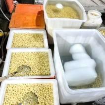 台州珍珠小土豆（坞根高山小土豆）可真空/可水包