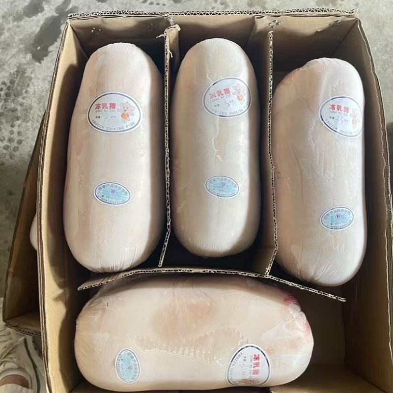 烧烤小乳猪8-13斤一件4只一箱688