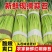 红帽蒜苔产地直供大量批发新鲜无老梗脆嫩爽口品质保证