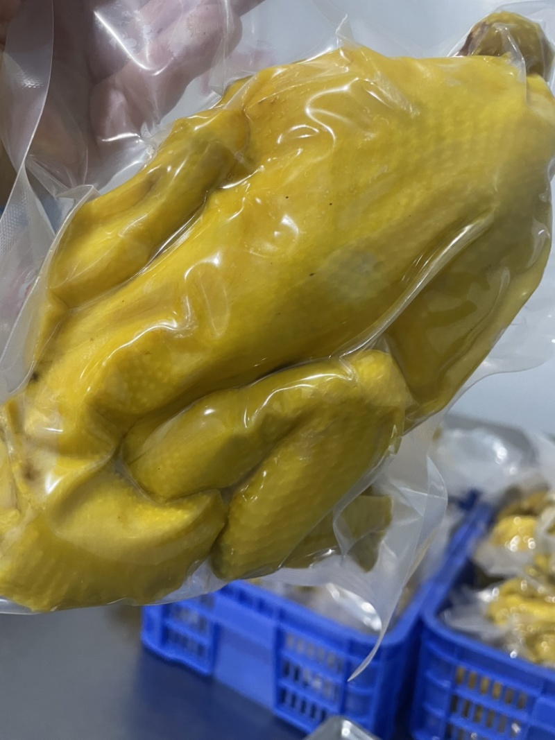 广东梅州客家传统古方工艺盐焗鸡真空独立包装，欢迎订购！
