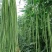 大量供应豆角产地发货规格齐全价格优惠全国发货