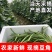 大量供应豆角产地发货规格齐全价格优惠全国发货