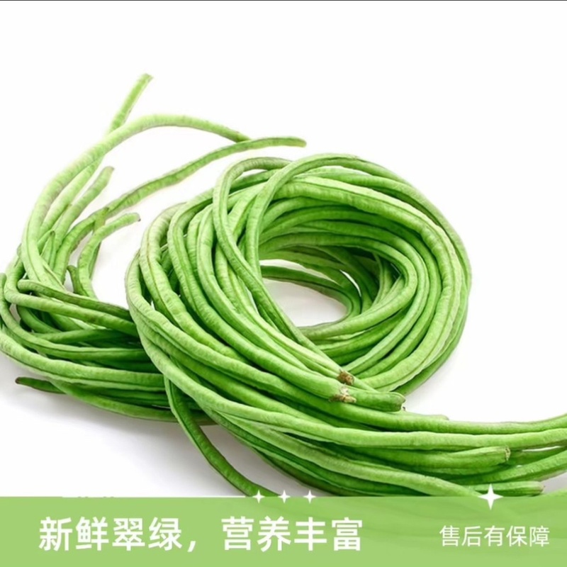 大量供应豆角产地发货规格齐全价格优惠全国发货