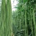 大量供应豆角产地发货规格齐全价格优惠全国发货