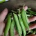 青豌豆角