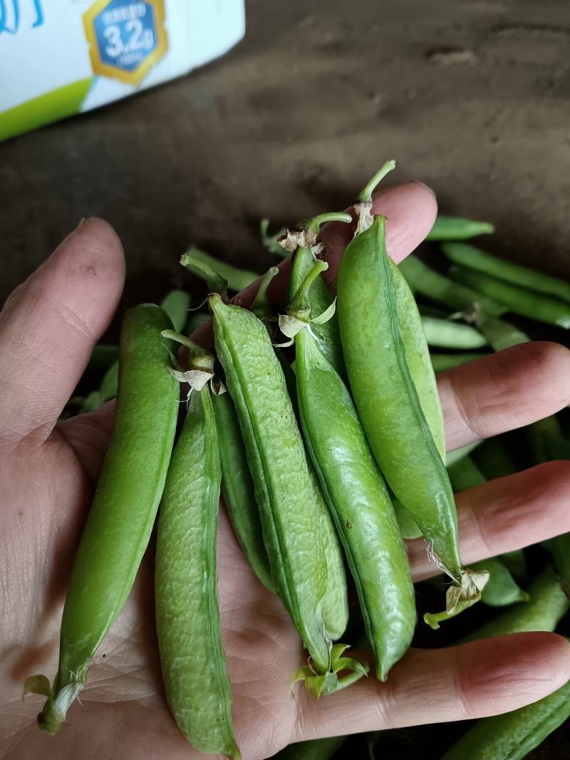 青豌豆角