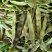 油豆角/紫花油豆/产地直销/基地直发/物美价廉