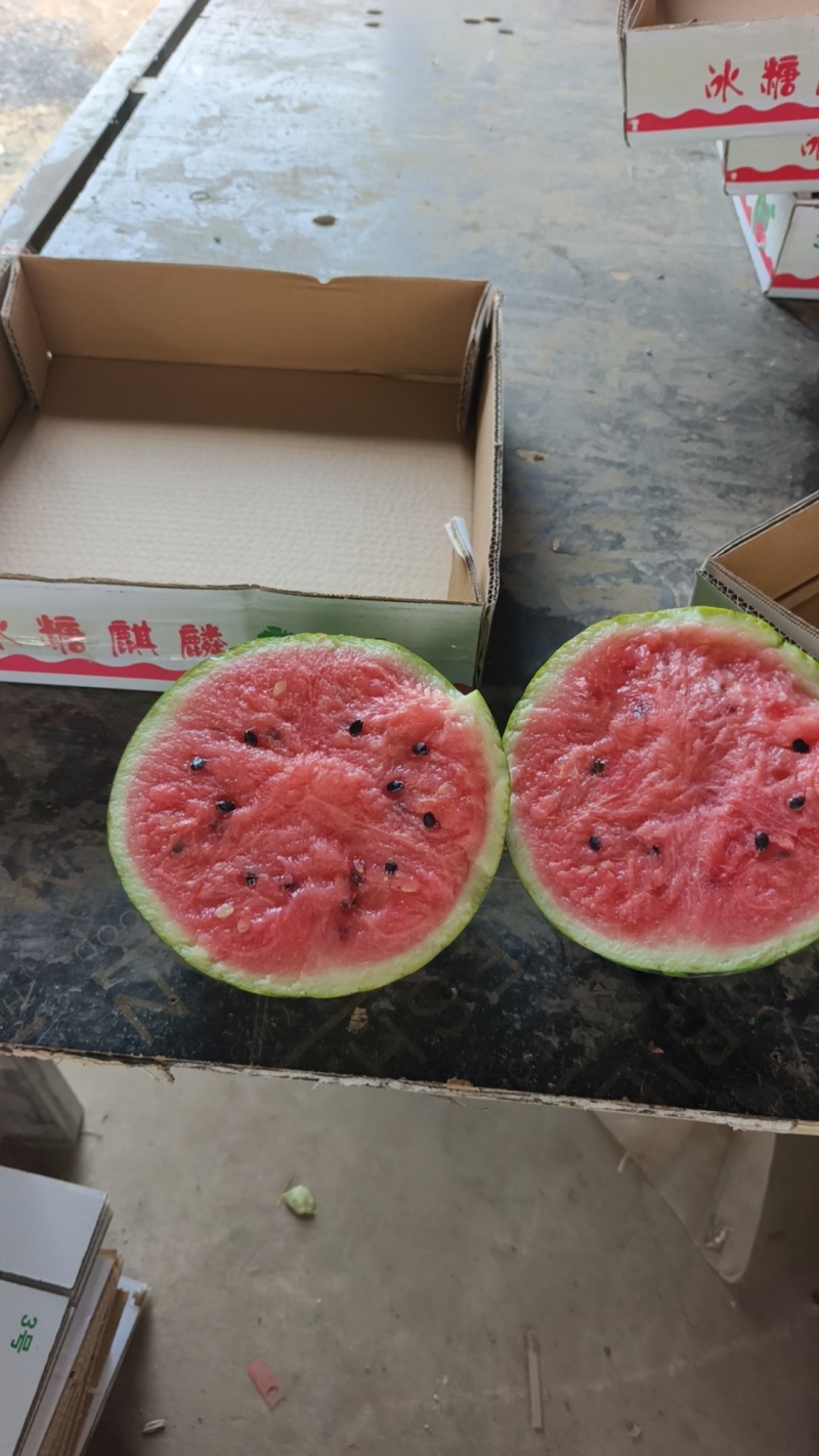 无子丨麒麟丨美都丨84价格丨便宜丨一一质量好，甜度高一一