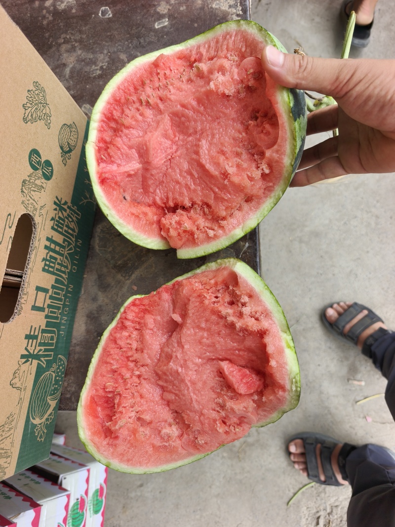 无子丨麒麟丨美都丨84价格丨便宜丨一一质量好，甜度高一一