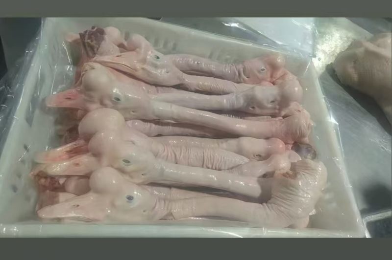 鹅头脖，仔鹅中龄鹅老鹅工厂直发全新货