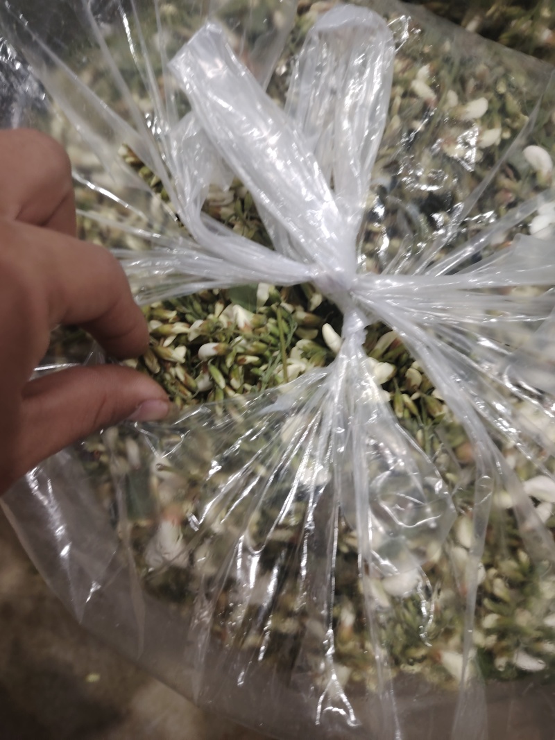精品洋槐花头茬、选货、槐米级全国发货