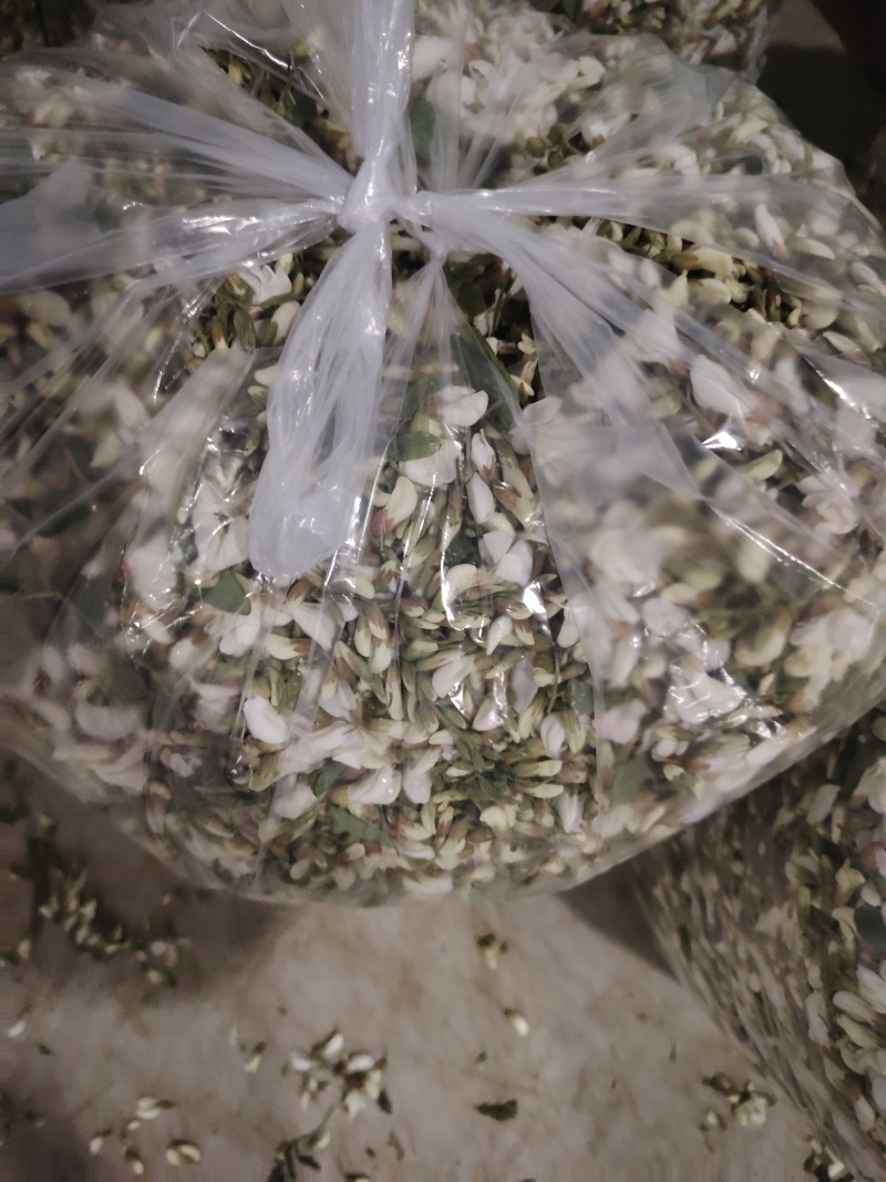 精品洋槐花头茬、选货、槐米级全国发货