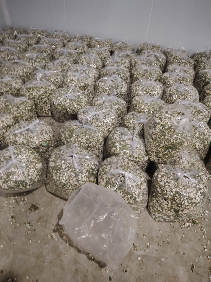 精品洋槐花头茬、选货、槐米级全国发货