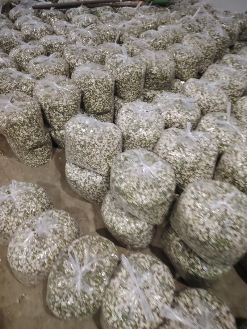 精品洋槐花头茬、选货、槐米级全国发货