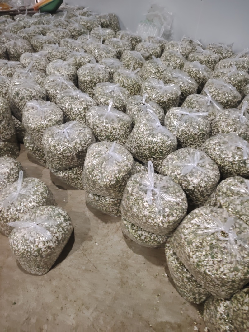 精品洋槐花头茬、选货、槐米级全国发货