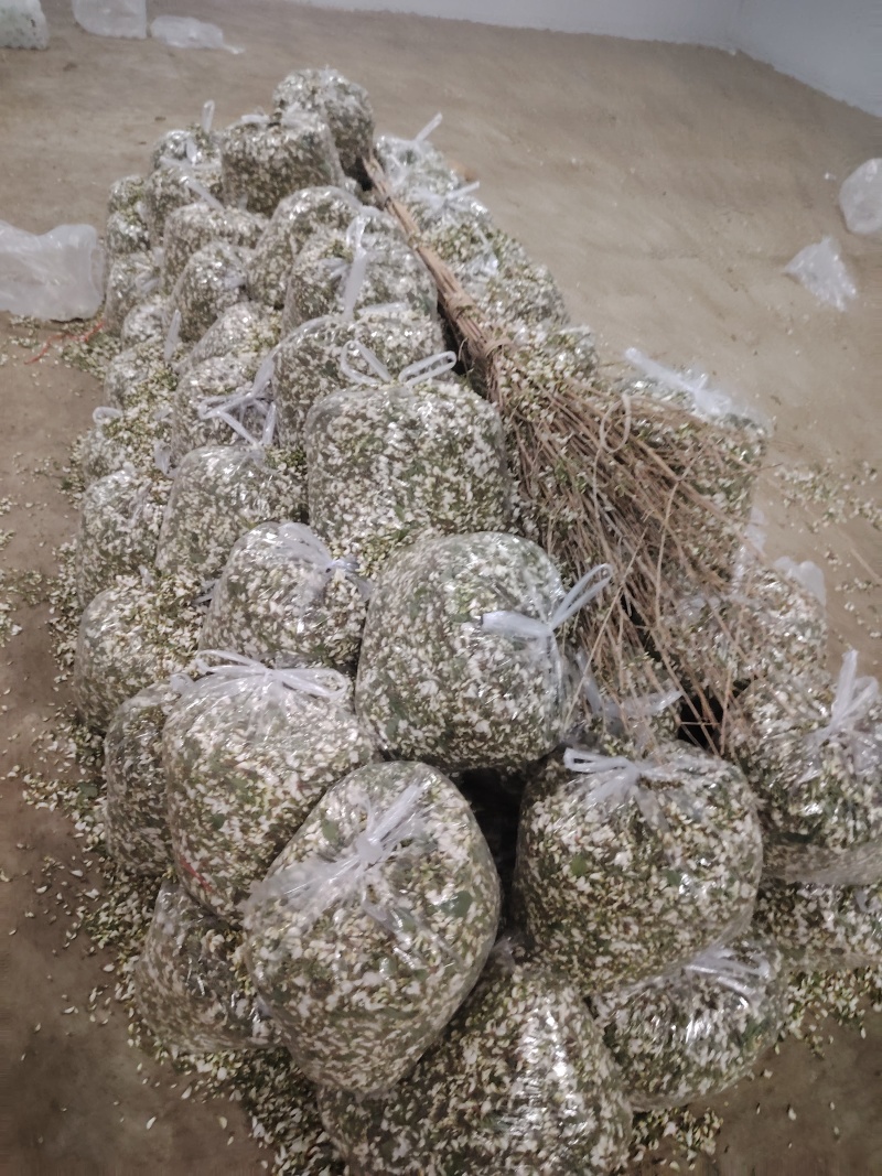 精品洋槐花头茬、选货、槐米级全国发货