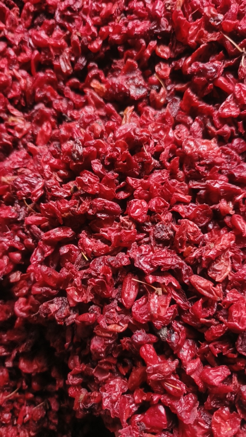 伏牛山特产山茱萸
