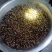 山坑螺