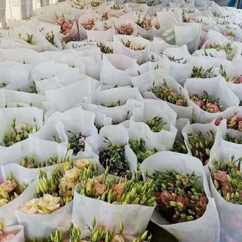 无纺布鲜花袋，花盆套袋梯形袋绿植花盆袋支持定制各种规格