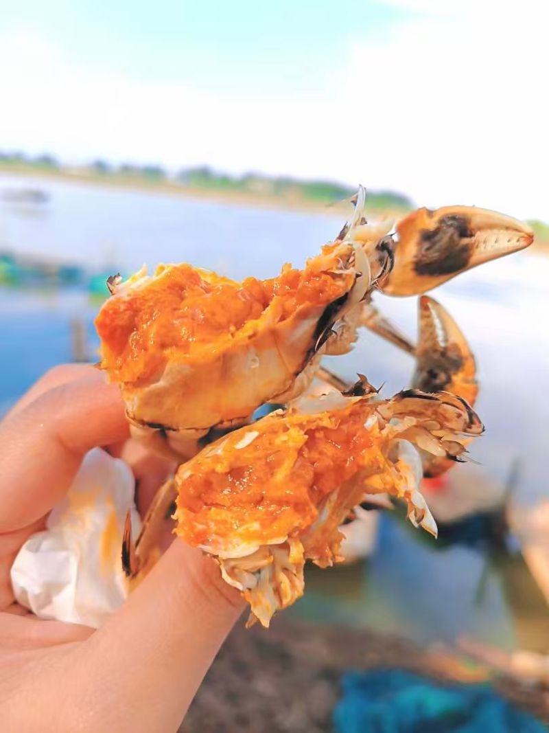 沱湖螃蟹自产自销