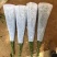 无纺布鲜花袋，花盆套袋梯形袋绿植花盆袋支持定制各种规格