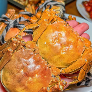 沱湖螃蟹自产自销
