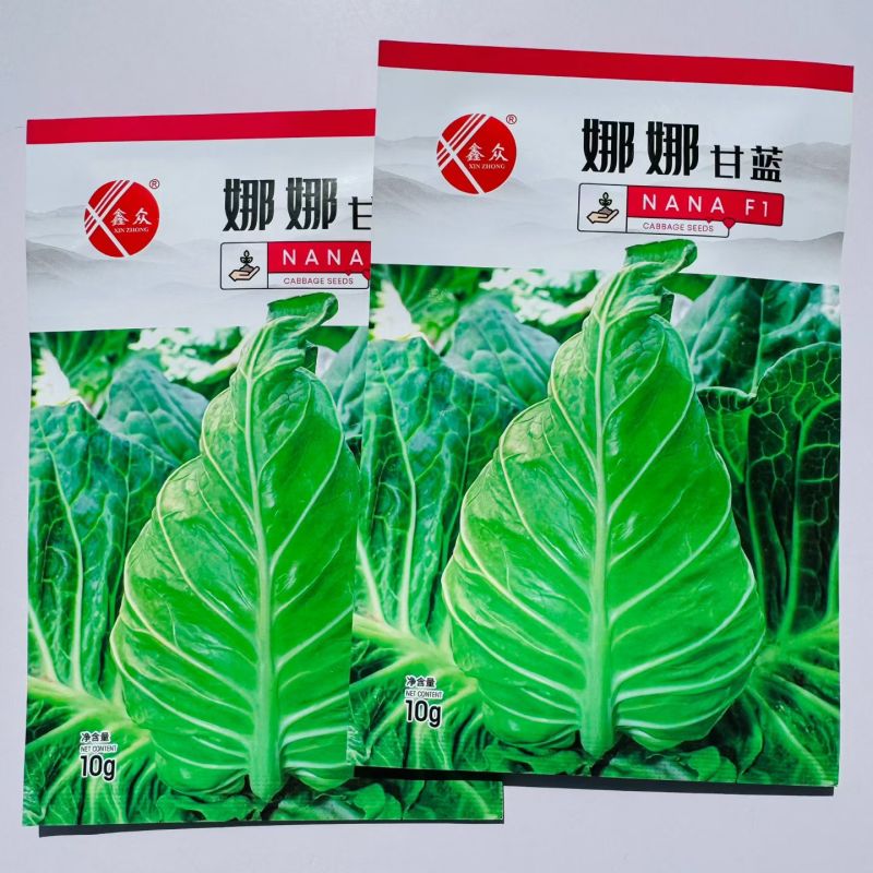 娜娜尖球甘蓝种子中早熟牛心甘蓝菜种籽球色绿耐裂球卷心菜种