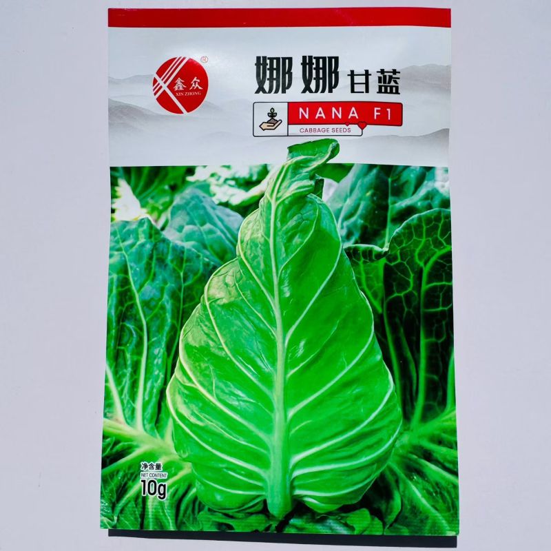 娜娜尖球甘蓝种子中早熟牛心甘蓝菜种籽球色绿耐裂球卷心菜种