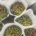 精品无纺布花盆套袋工厂一手货源全国发货量大价优欢迎随时