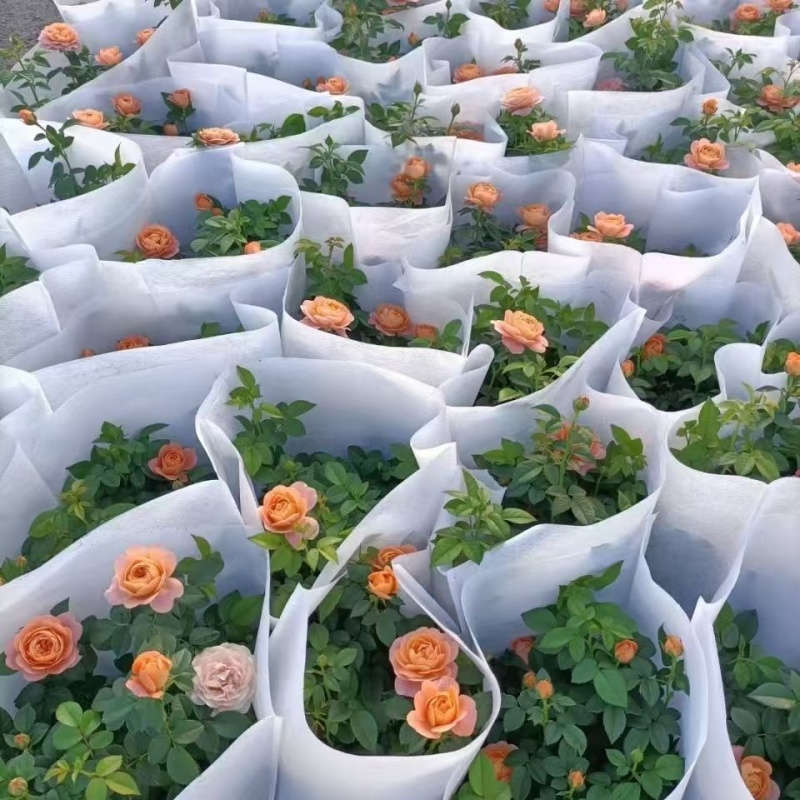 精品无纺布花盆套袋工厂一手货源全国发货量大价优欢迎随时