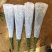 无纺布鲜花袋，花盆套袋梯形袋绿植花盆袋支持定制各种规格