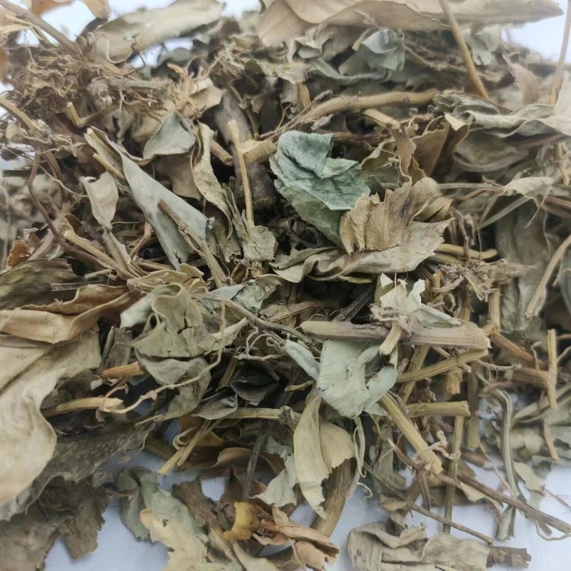 石楠叶中药材正品无硫品质保证冷背中药材正品