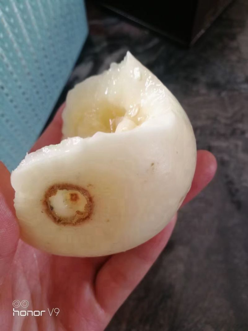 【推荐】砀山白沙蜜蜜罐薄皮小白瓜产地货源欢迎来电咨
