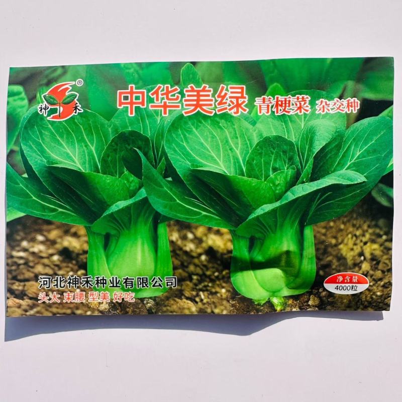 中华美绿青梗菜种子早熟一代杂交上海青青菜种子口感甜糯鲜嫩