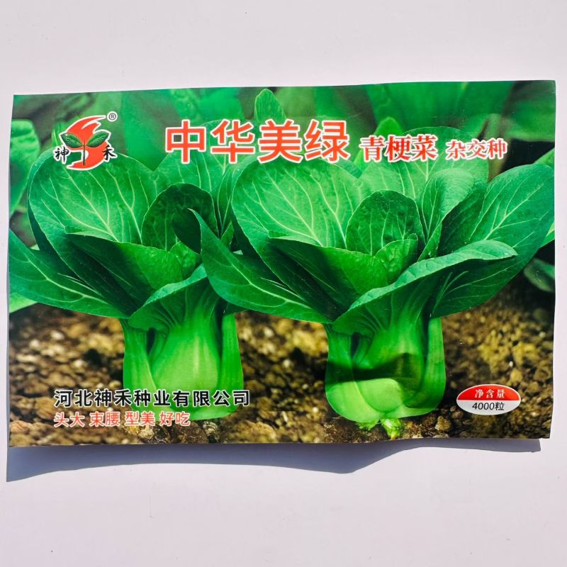 中华美绿青梗菜种子早熟一代杂交上海青青菜种子口感甜糯鲜嫩