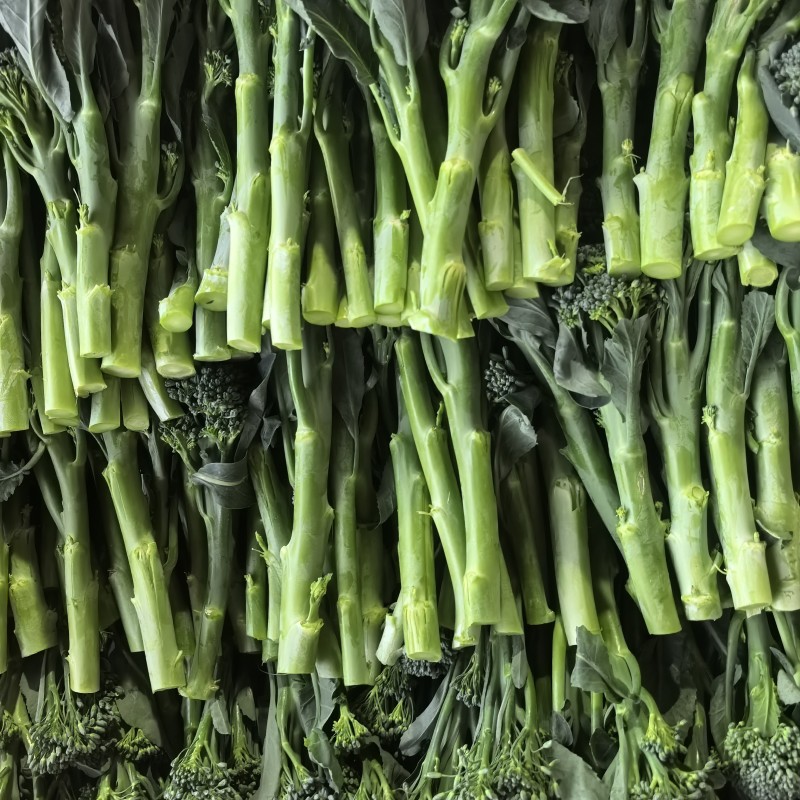 精品甜杆西兰苔产地直发品质保证量大从优一手货源