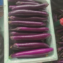 茄子