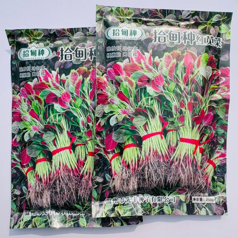 拾甸种红苋菜种子耐热性好红汉菜种子红根苋菜种籽南方