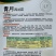 青月西兰花种子花蕾细密花椰菜种子颜色深绿花茎粗壮秋季花菜
