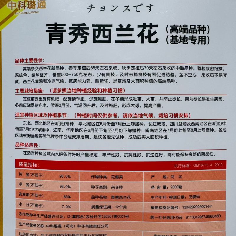 青秀西兰花种子基地专用高端杂交西兰花种籽蕾粒细嫩深绿色