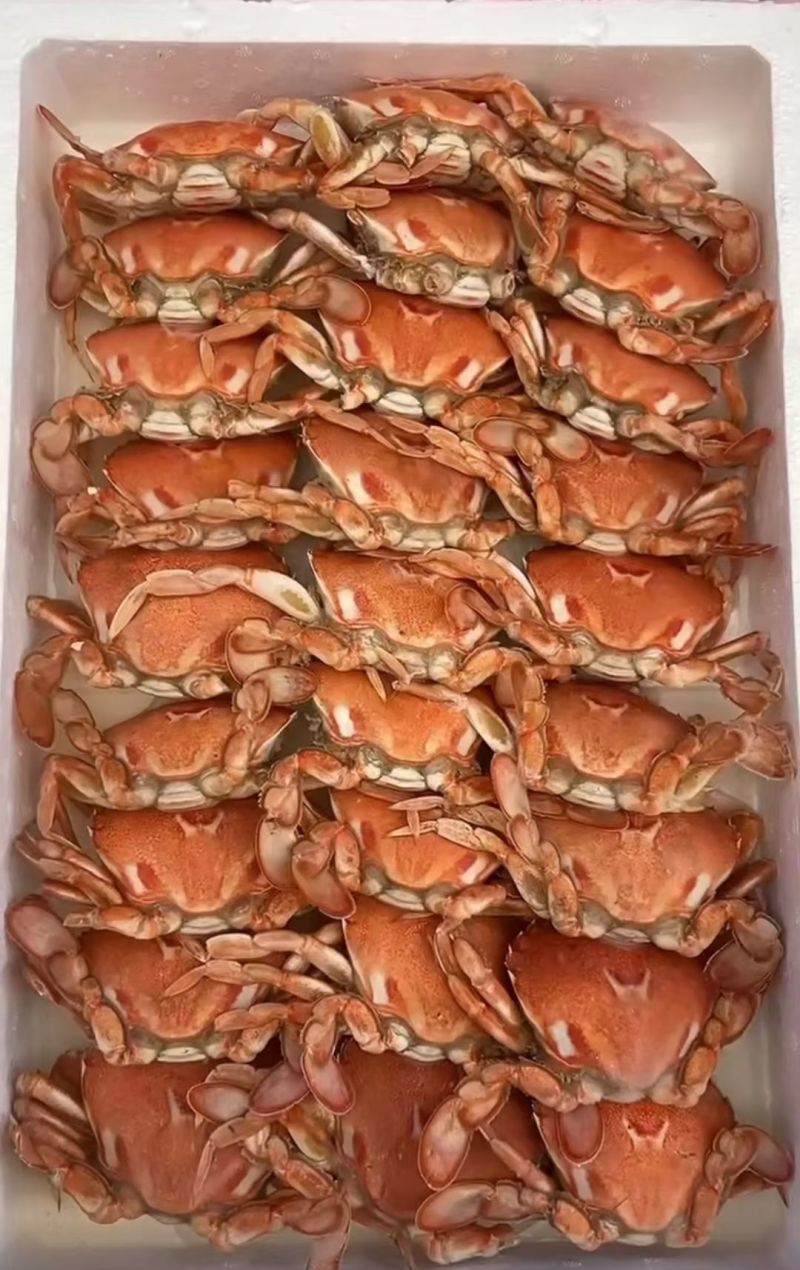 招财蟹