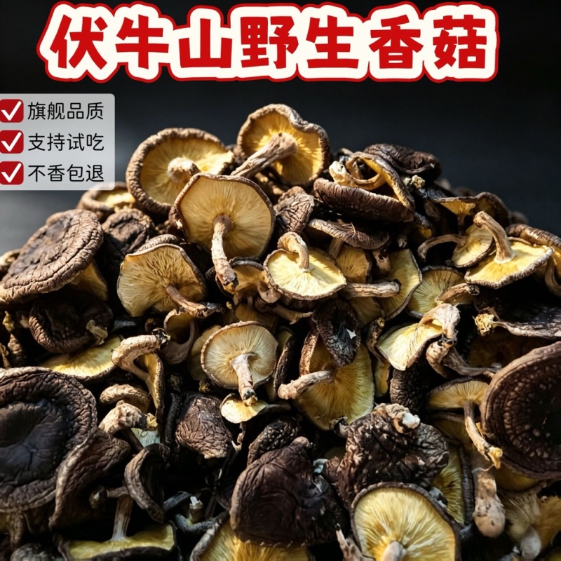 野生椴木香菇深山土特产煲汤火锅滋补养生食材