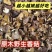 野生椴木香菇深山土特产煲汤火锅滋补养生食材