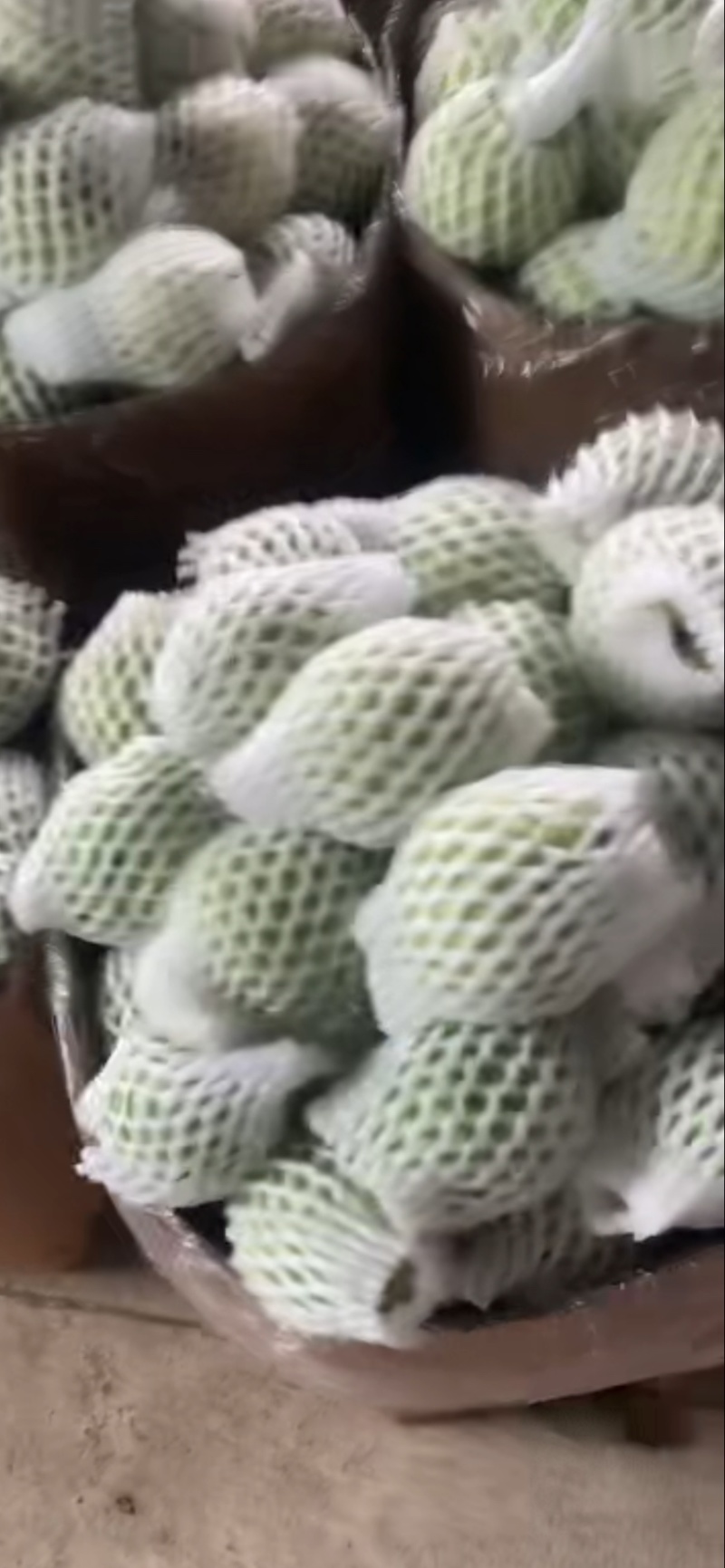 白番石榴红番石榴