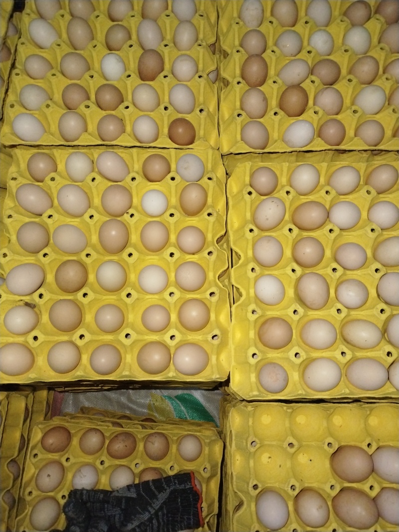 土鸡蛋