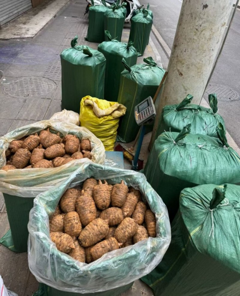【源头批发】云南昭通原小草坝正宗一级乌天麻500斤起批